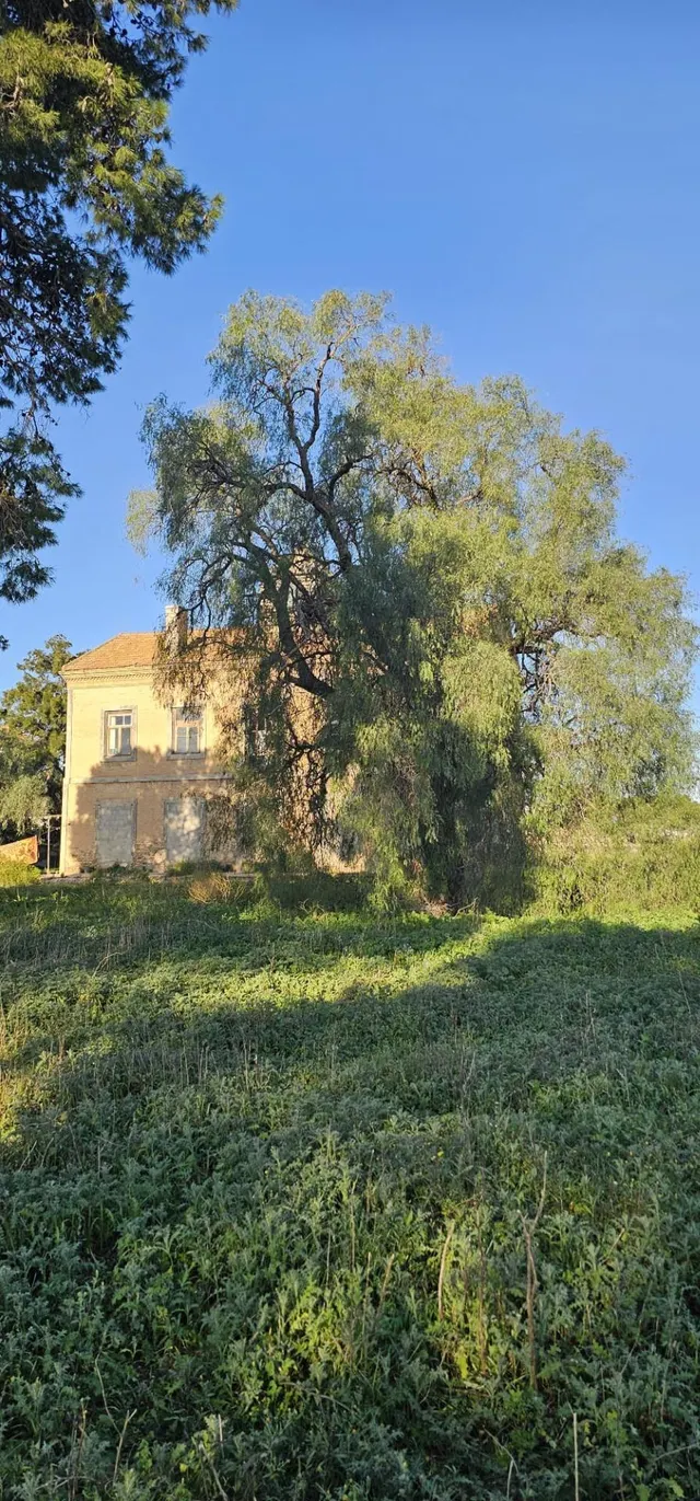 Terreno Rústico con vivienda legalizada a reformar — 9