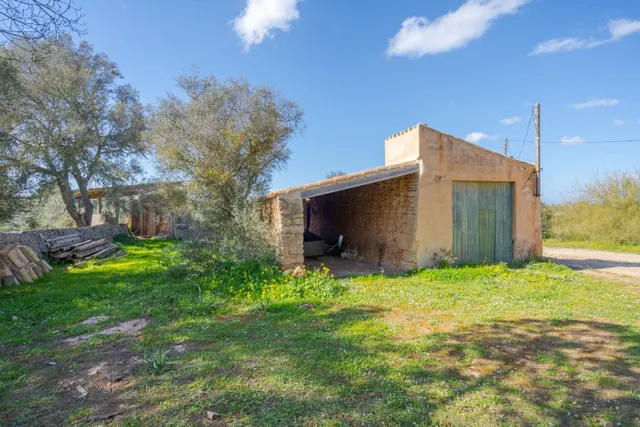 Finca de 124 hectáreas con vivienda en Puigderrós, Llucmajor. — 10
