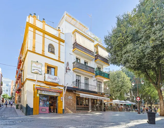 Piso 1 habitación 45m² en venta - Santa Cruz - Alfalfa — 20