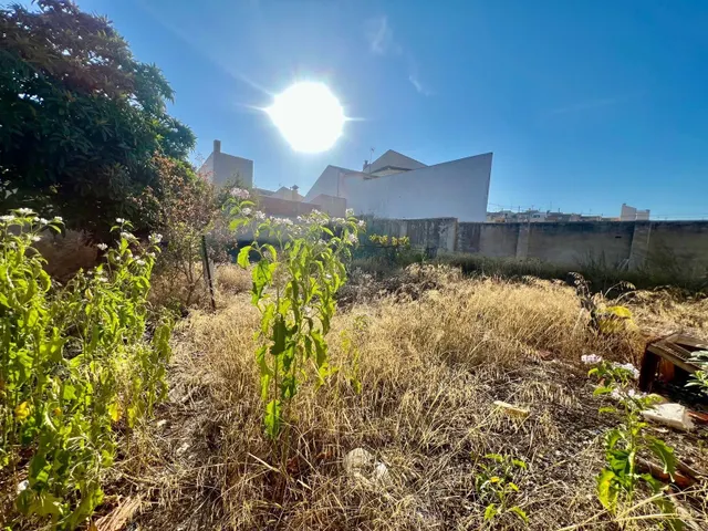 Casa 6 habitaciones 260m² en venta - Comunidad valenciana — 7
