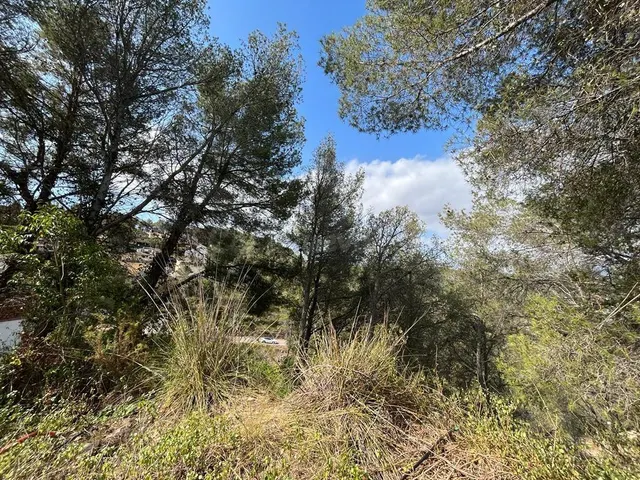 Olivella zona Mas Mestre se vende terreno. - foto 5