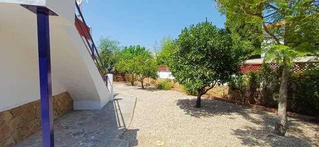 Alquiler anual  Chalet en zona Santa Lucía, con amplia parcela y todas las comodidades — 45