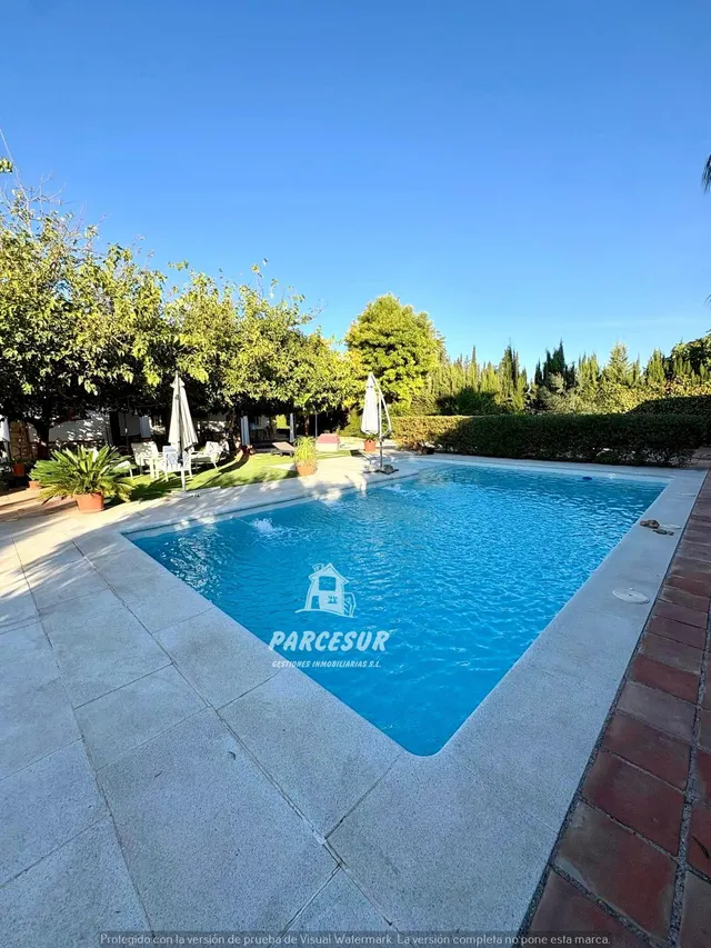 Encantadora Casa de Campo en ctra aeropuerto, Córdoba - foto 3