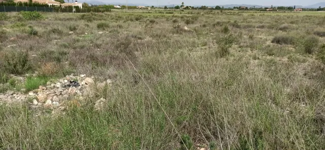 TERRENO EN MAITINO 11.333M2 - foto 4