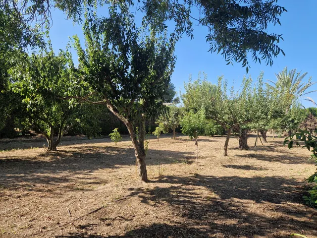 Finca rústica con dos viviendas, piscina y 56.000 m2 de tierras de regadío a 10 minutos de Jerez — 30