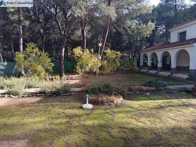 Espectacular parcela con chalet y piscina a 15 minutos de Albacete — 22