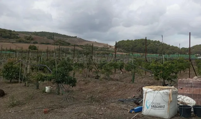 PARCELA EN PATERNA DE RIVERA - foto 2