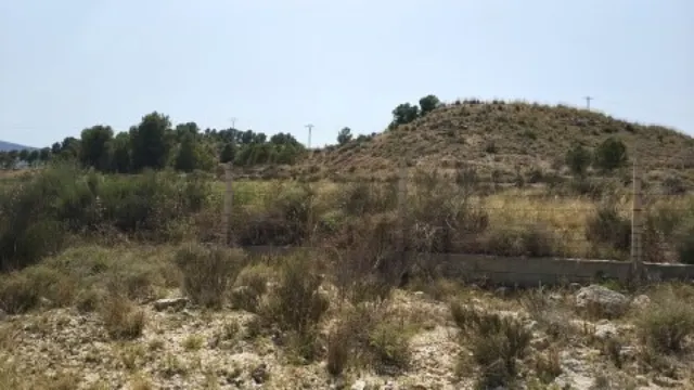 Parcela terreno 10.000 — 3