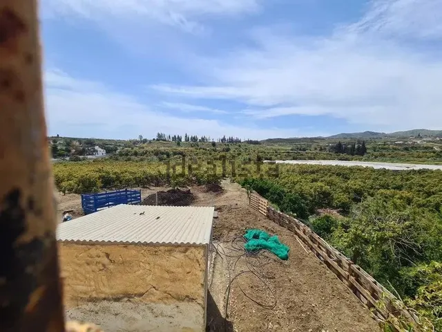 Terreno de 51.686 m2 de Plantación de Aguacates con vivienda - foto 5