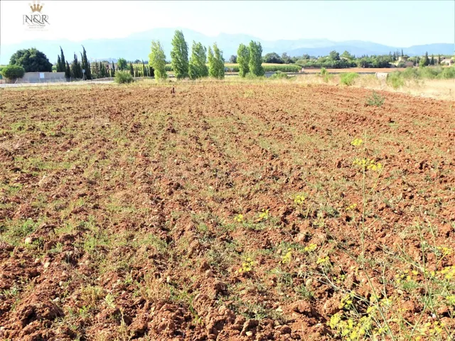 FINCA RÚSTICA EN LLUBÍ CON AGUA - foto 3