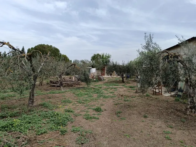 VENTA PARCELA CON CASA Y PISCINA. VILLAMARTIN - foto 5