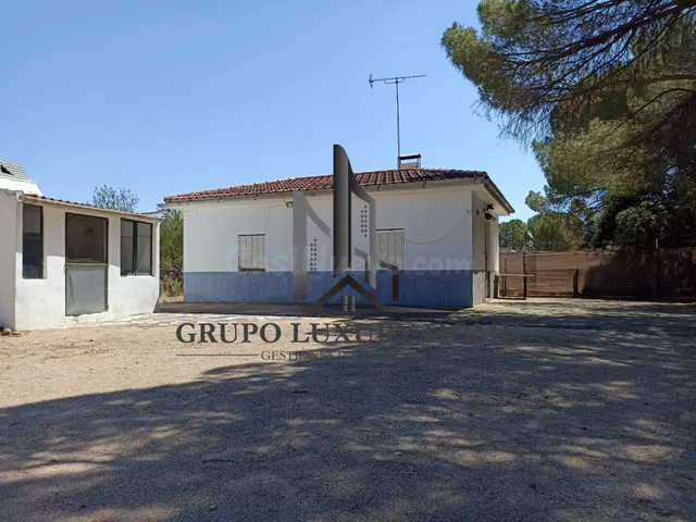 SE VENDE PARCELA CON PINAR EN MONTALVOS - foto 4