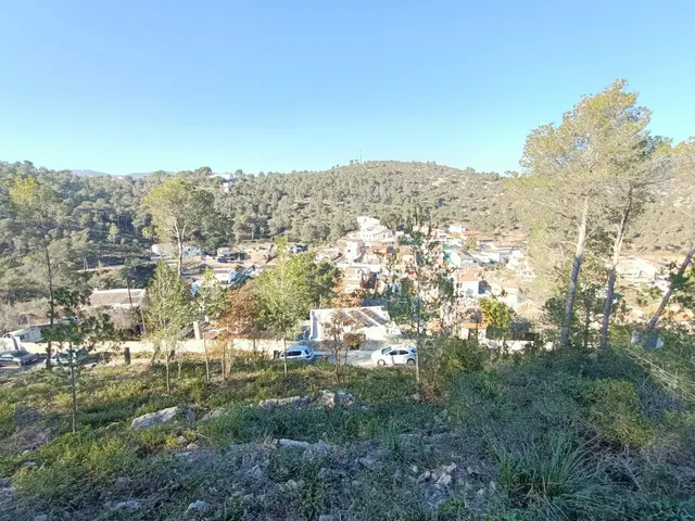 ¡Con vistas y económico! — 5
