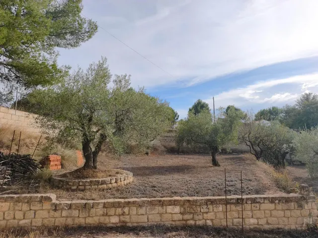 Terreno Rural en Almansa - San José a un Precio Inmejorable — 7
