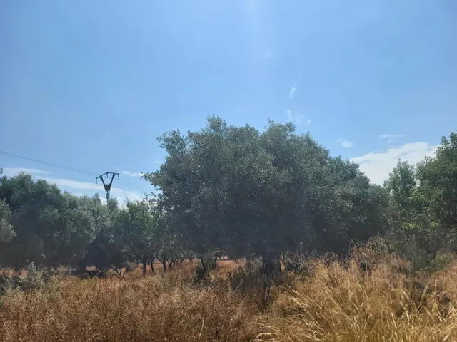 MASIA PARA REFORMAR CON TERRENO EN TÉRMINO DE VALL D'ALBA, LUZ Y AGUA CERCA — 19