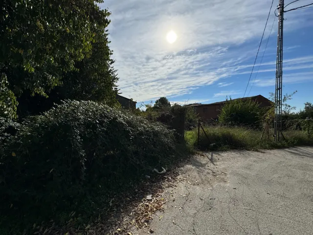 el carrascal — 10
