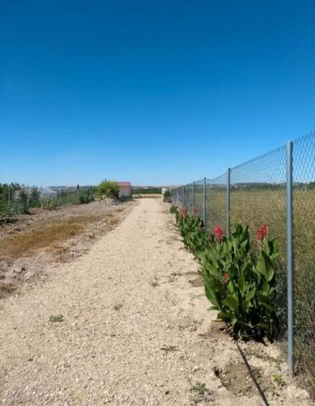 Terreno rural en venta - Castilla y leon - foto 5