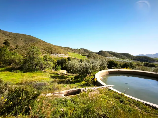 EXCLUSIVO, ESPECTACULAR FINCA CON BOSQUE Y CON DOS CASAS, EN - foto 2