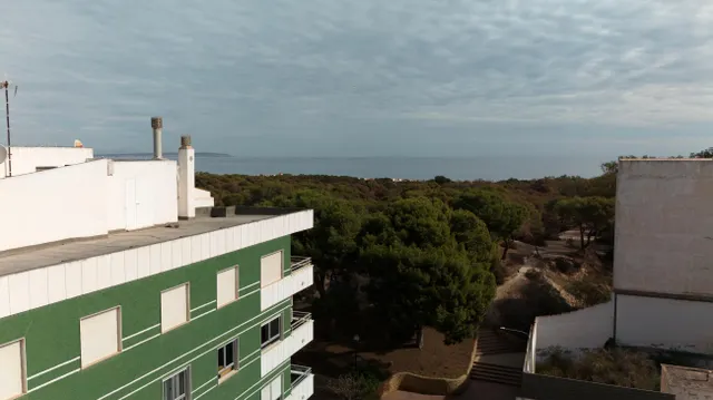 Planta baja 1 habitación 53m² en venta - CENTRO — 39