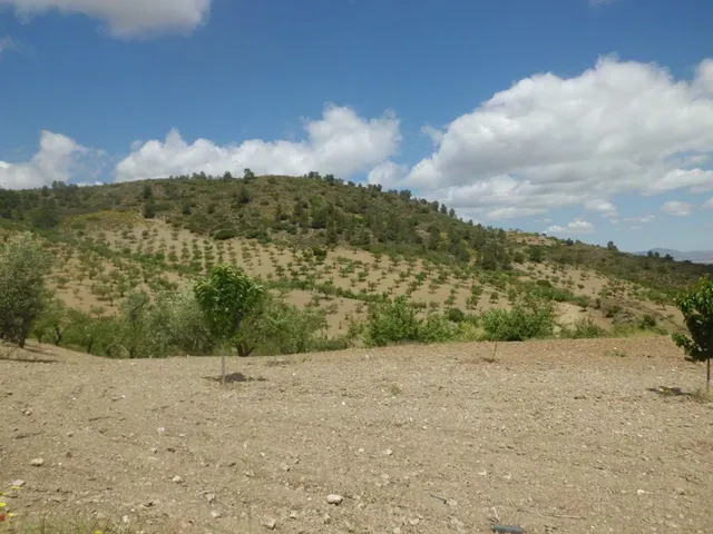 Finca Rústica, LOS GOMEZ, JARALES — 9