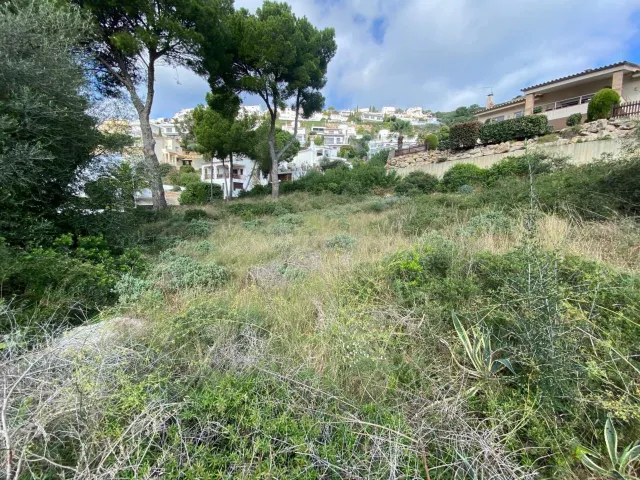 Terreno en Montgó - foto 2
