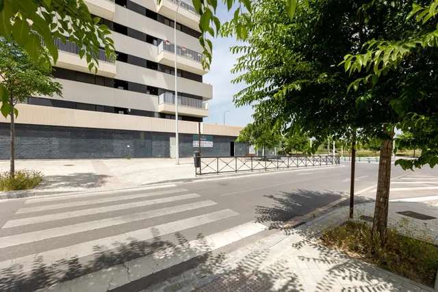 ESPECTACULAR LOCAL COMERCIAL EN GRANADA — 3