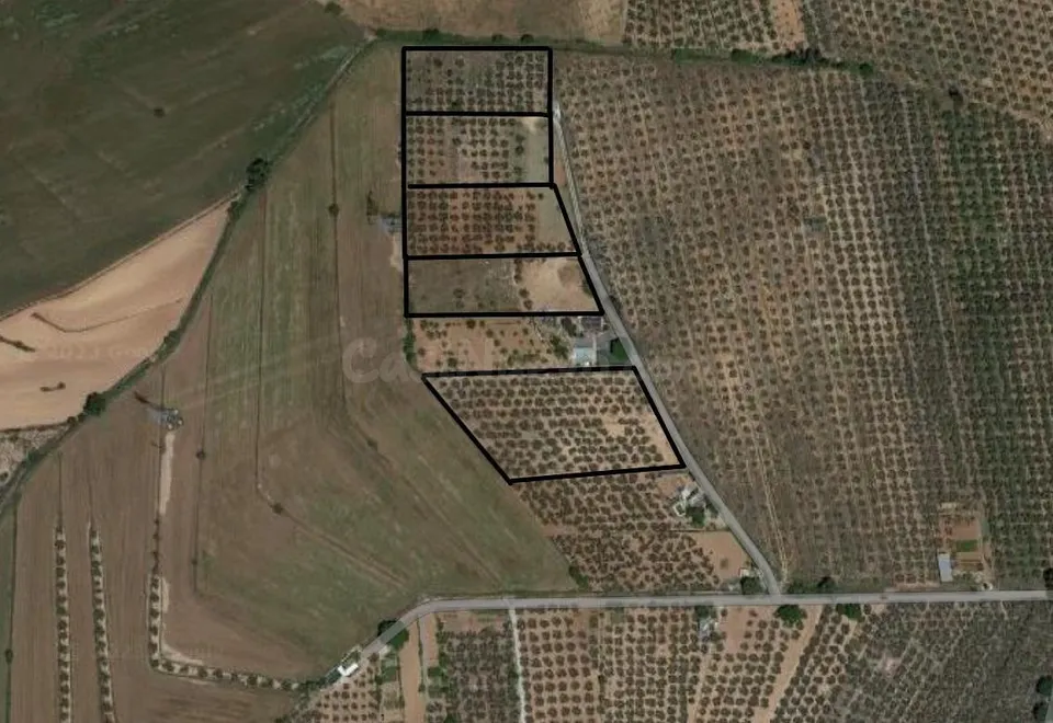 Finca rústica en venta
