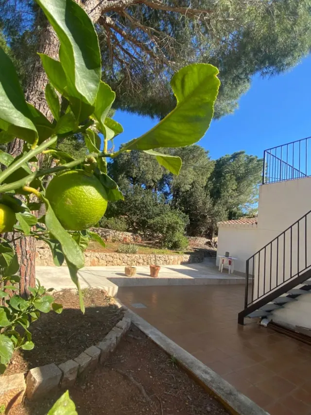 Villa Ibicenca con vistas panorámicas al Mar y a la Montaña en Dénia — 40