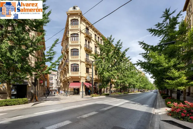EXCLUSIVA ULTIMA PLANTA CON VISTAS EN GRAN VIA — 4