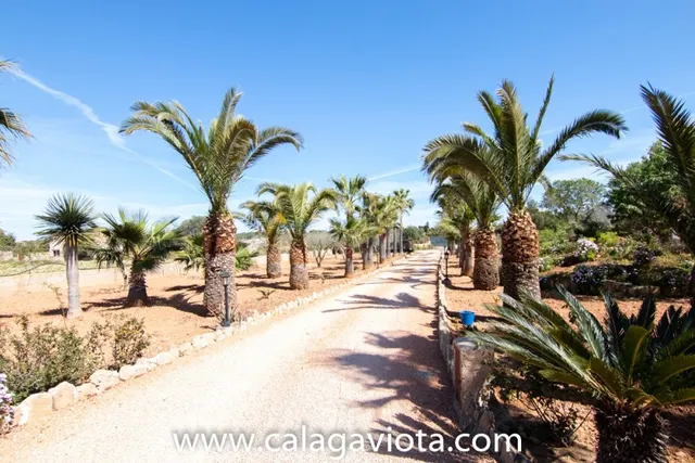Casa de campo en Ses Salines — 21