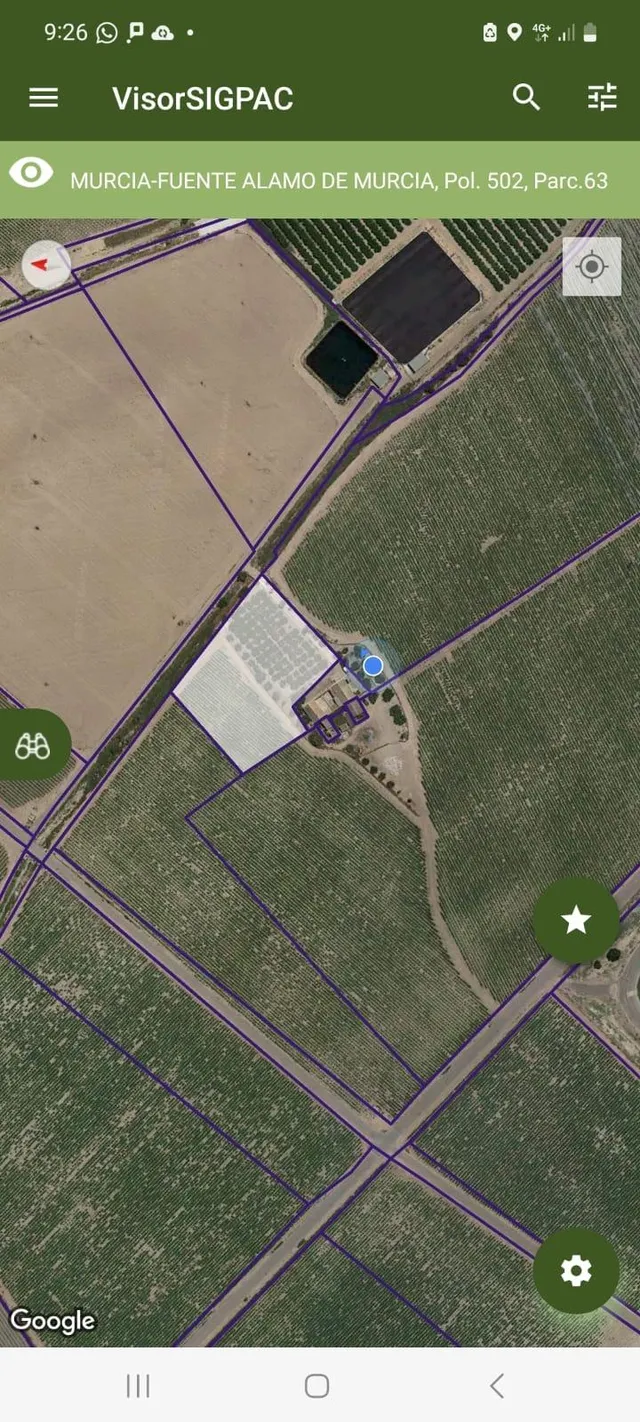 Terreno en venta en paraje Los Patas Chicos, Balsapintada — 6