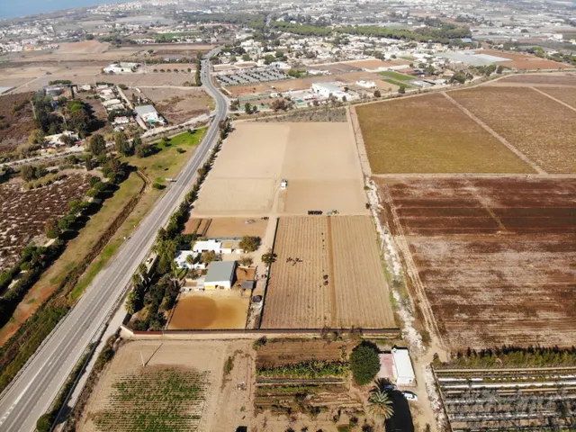 FINCA RÚSTICA CON ARBOLES FRUTALES Y CUADRA DE CABALLOS — 2