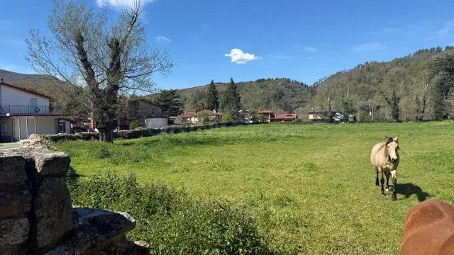 Terreno urbano 11749m² en venta - Northern spain - foto 2