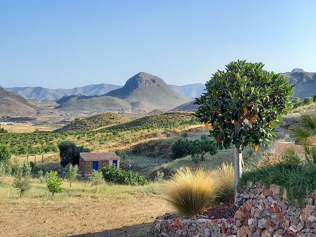 Refugio único con 3 viviendas, olivar y energía solar – Costa Cálida, Murcia — 20