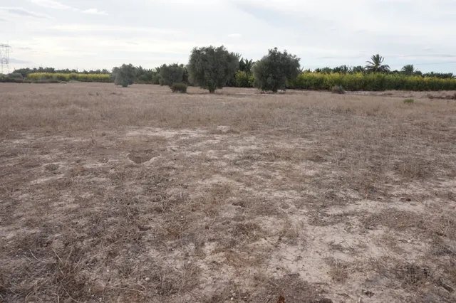 AMPLIA PARCELA DE 13000 M2 ZONA DE LA HOYA — 17