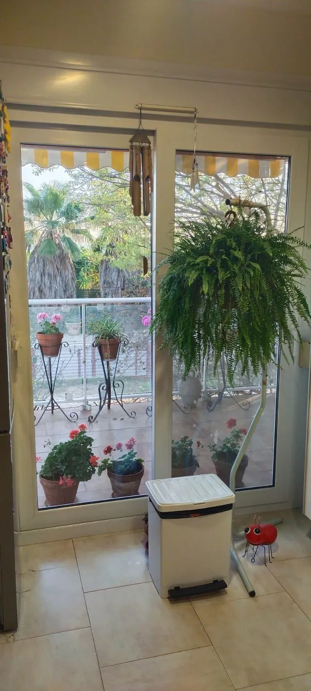 OPORTUNIDAD CASA RUSTICA EN FINCA DE 0,7 HAS.CON VIVIENDA EN SU INTERIOR, PISCINA Y ALMACENES EN MORA LA NOVA — 43