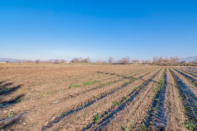 Excelente finca de regadío en la Vega de Granada, con acceso directo — 19