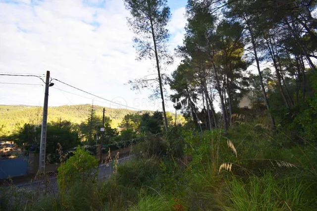 AMPLIO TERRENO A DOS CALLES CON VISTAS EN MAS MESTRE — 9