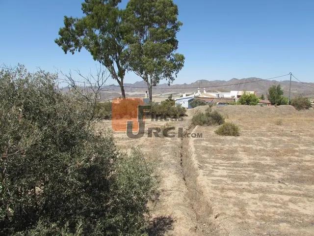 Parcela en venta - Tebar - foto 3