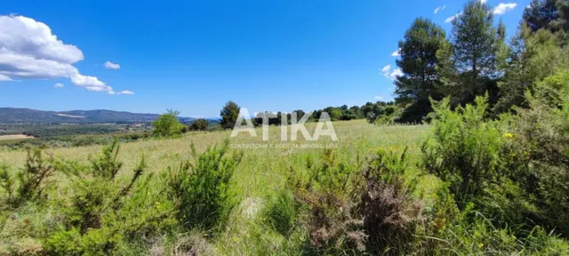 FINCA RUSTICA PARA REHABILITAR - foto 4