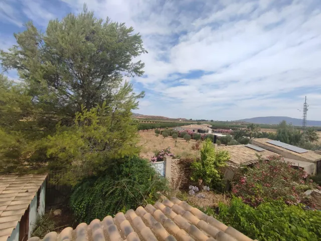 Casa tradicional reformada con terraza solárium en Pinoso (Alicante) — 28