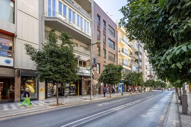 GRAN PISO EN CALLE RECOGIDAS — 37