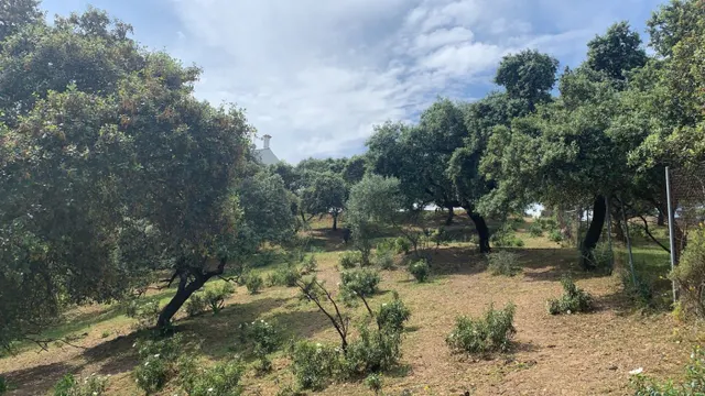 Terreno urbano en venta - Calasancio — 9
