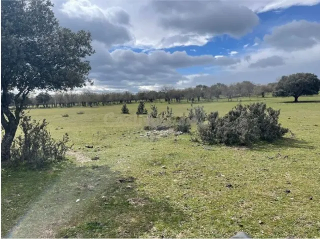 Terreno rural en venta - Romacalderas - foto 4