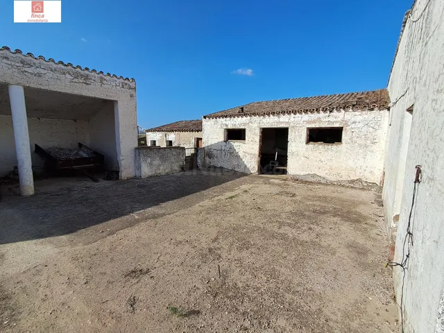 VENTA PARCELA DE COLONOS EN EL TERMINO DE VALDELACALZADA, CO - foto 5