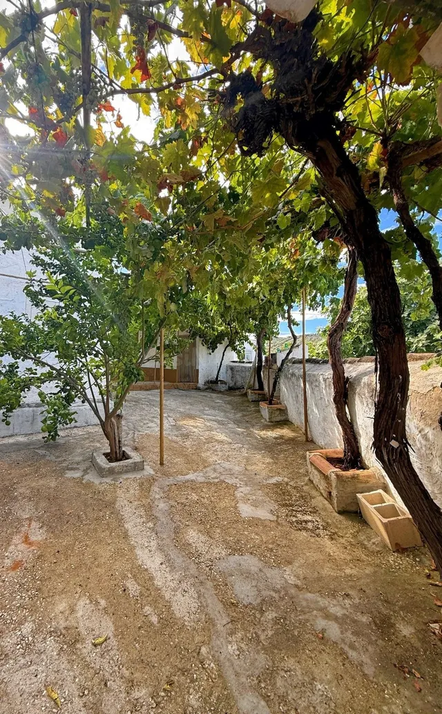 Finca rústica 5 habitaciones 350m² en venta - Andalucia - foto 2