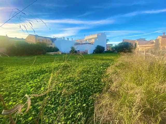 Terreno extenso en Santa Margalida, oportunidad única - foto 4
