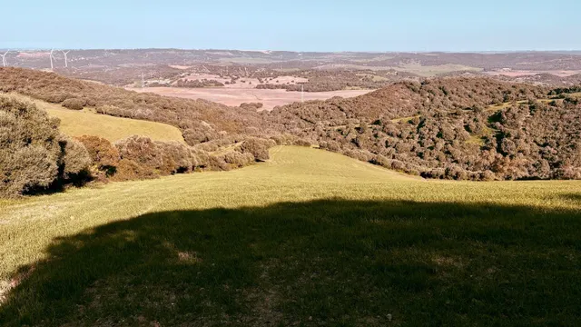 finca rústica en la zona de patria, Vejer de la frontera — 8