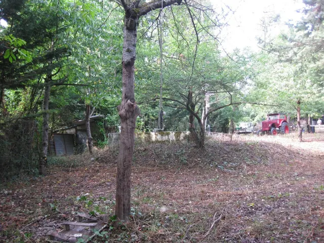 FINCA EN ELCANO A 10KMTS DE PAMPLONA - foto 3
