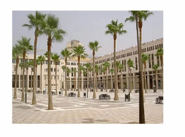 Amplio piso nuevo de 110 m² en venta en El Ejido, centro urb